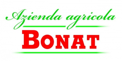 Buono sconto Bonat logo