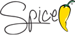spice electronics