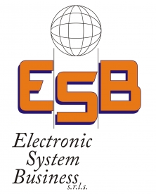 ELECTRONIC SYSTEM BUSINES...