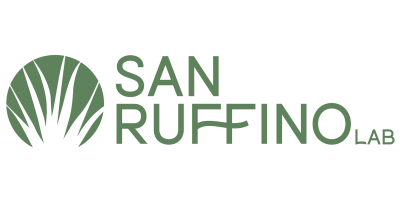 SAN RUFFINO LAB DI PALAZZ...